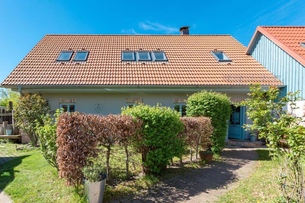 Ferienscheune Seelchen Neuendorf  المظهر الخارجي الصورة
