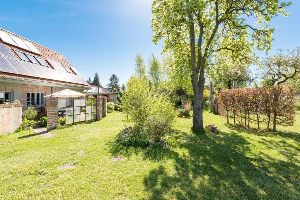 Ferienscheune Seelchen Neuendorf  المظهر الخارجي الصورة